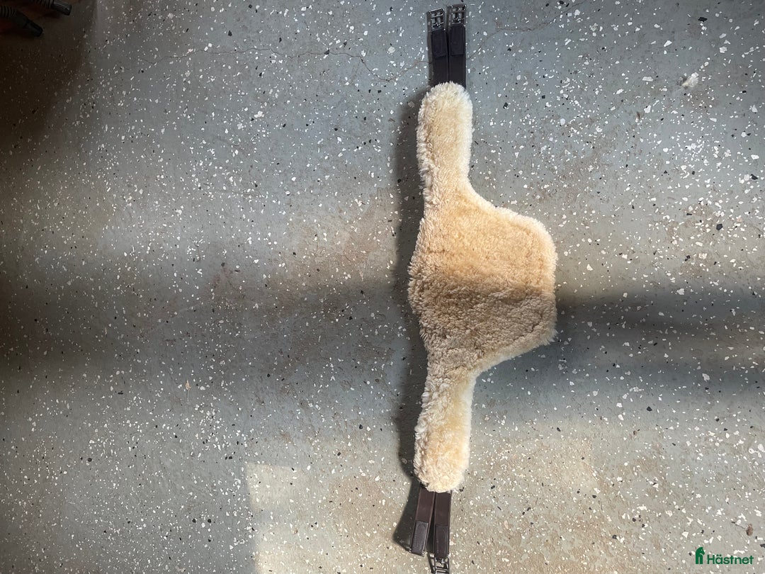 Övrig Hästutrustning hästutrustning till salu: Märkesutrustning säljs billigt i Sävedalen - Annons 3