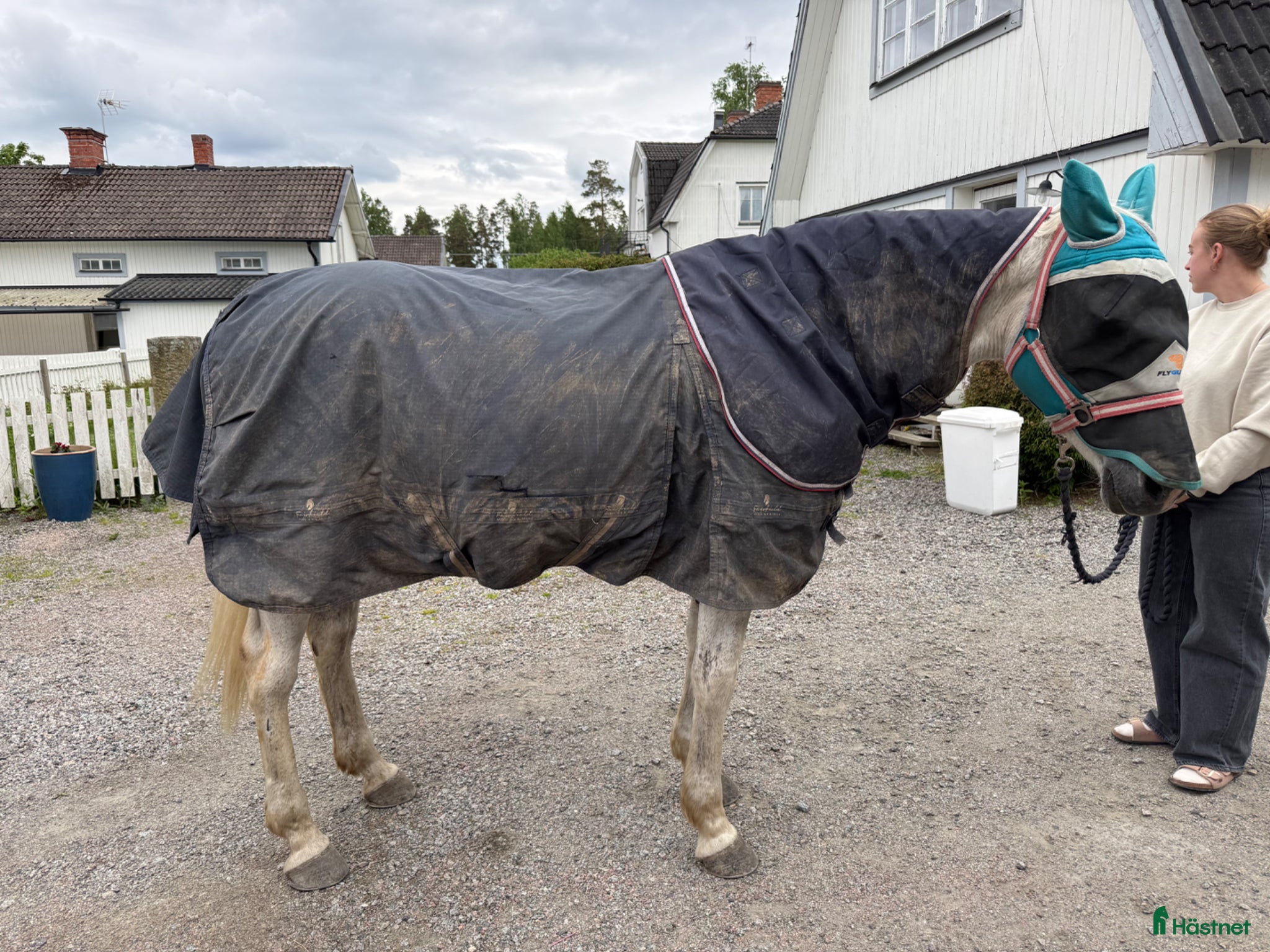 Täcken hästutrustning till salu: Blandade täcken 135 (6st) - Annons 11
