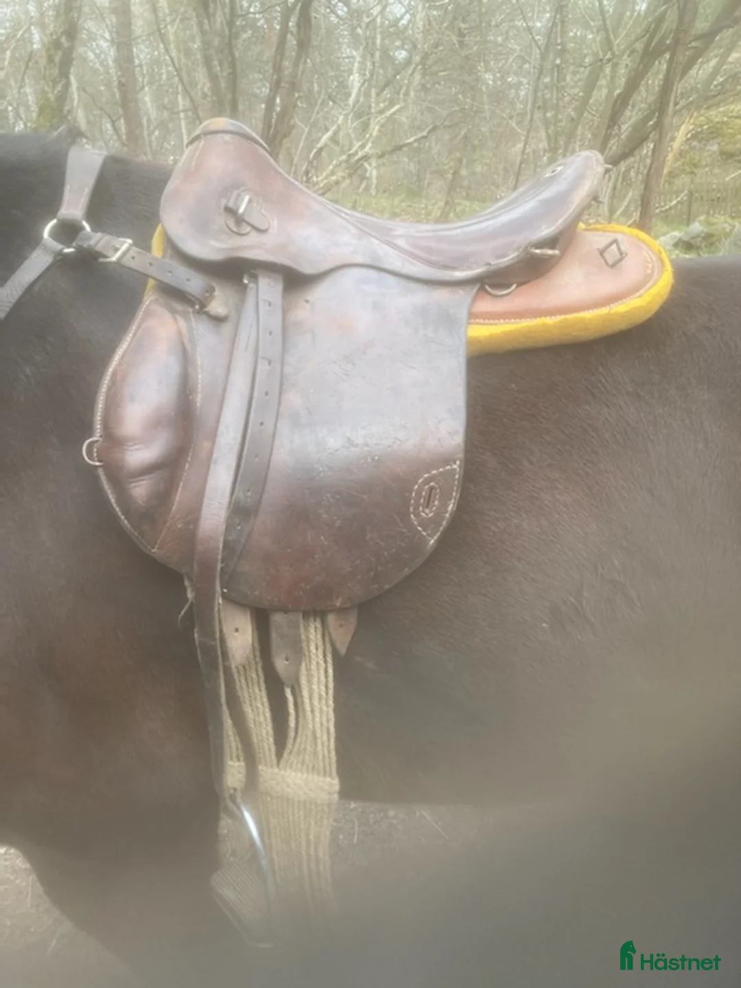 Sadlar hästutrustning till salu: Manskapssadel i Stockholm - Annons 6