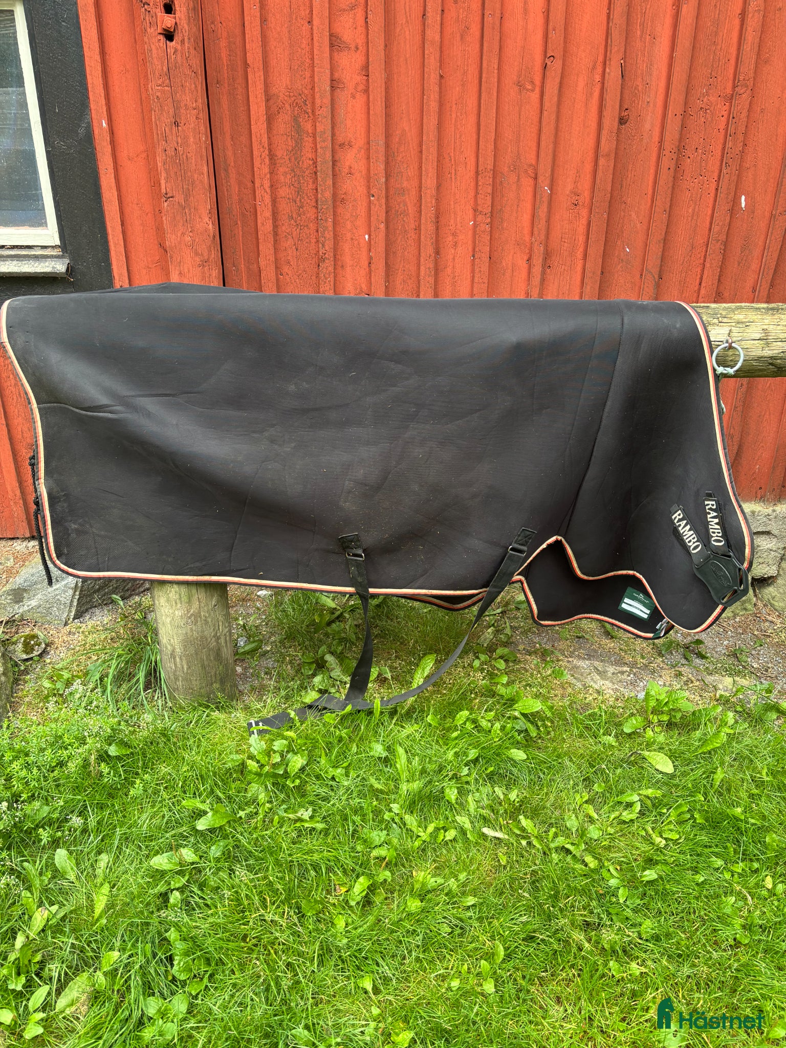 Täcken hästutrustning Rambo Cooler  - Annons 11