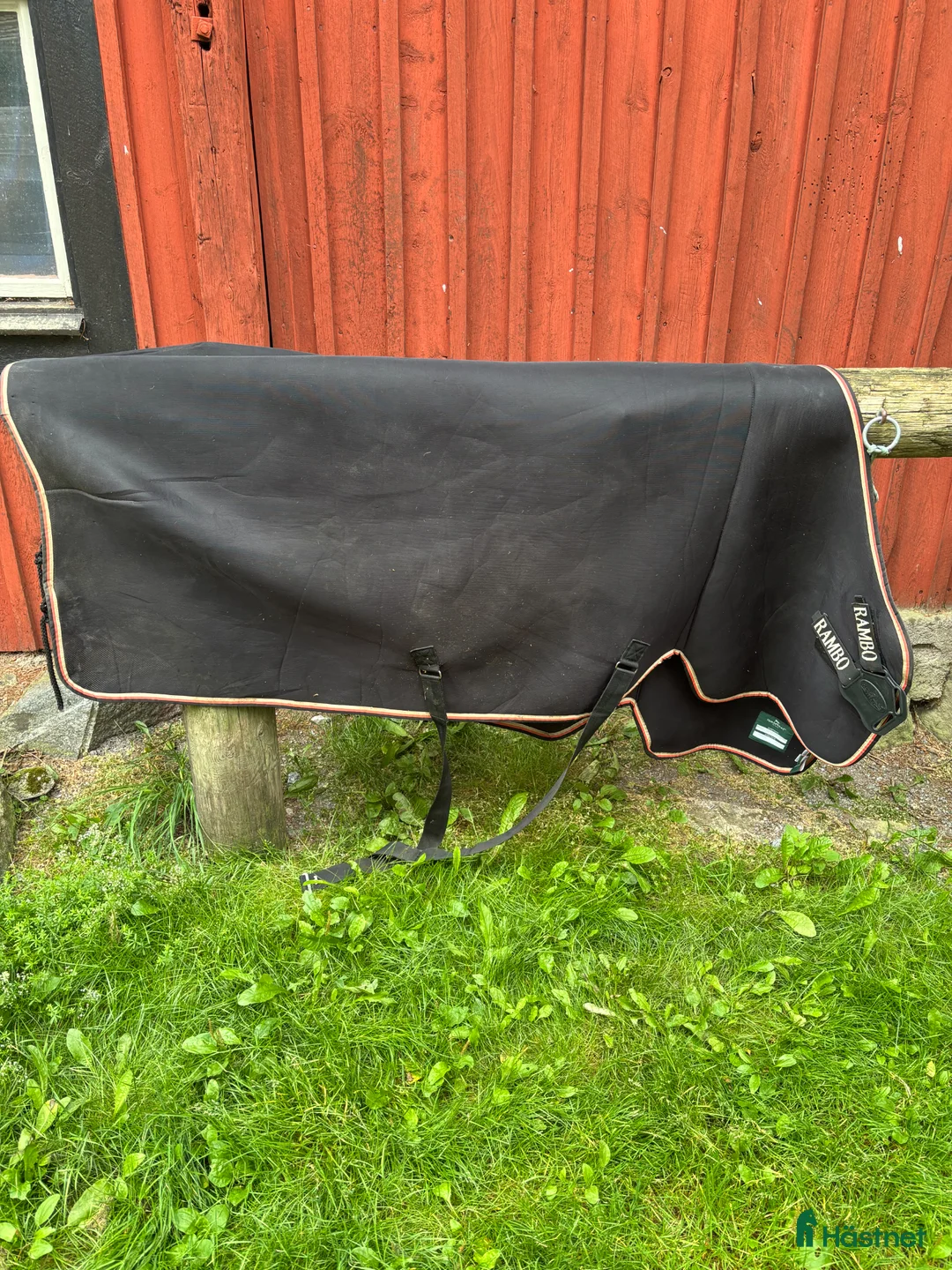 Täcken hästutrustning till salu: Rambo Cooler  - Annons 1