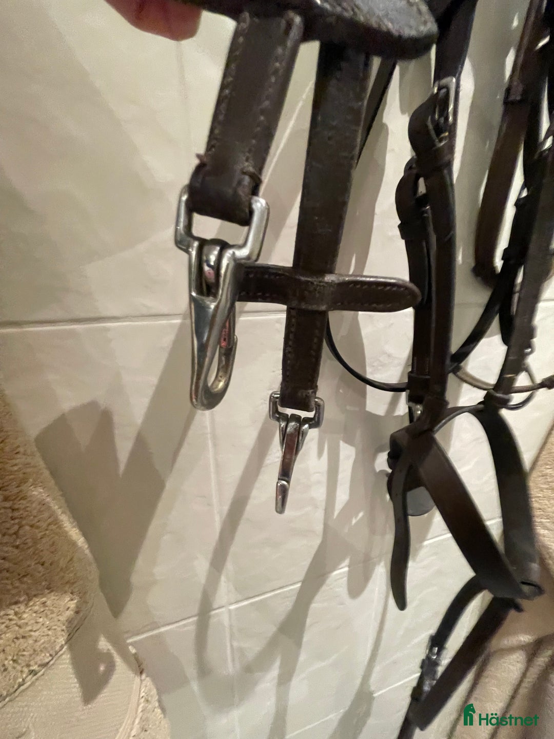 Träns hästutrustning till salu: Träns med clips  i Linköping - Annons 3