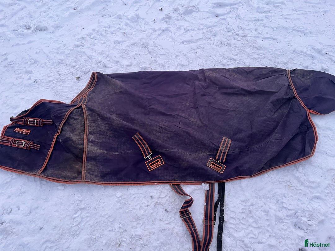 Täcken hästutrustning till salu: Täcken  i Södertälje - Annons 3