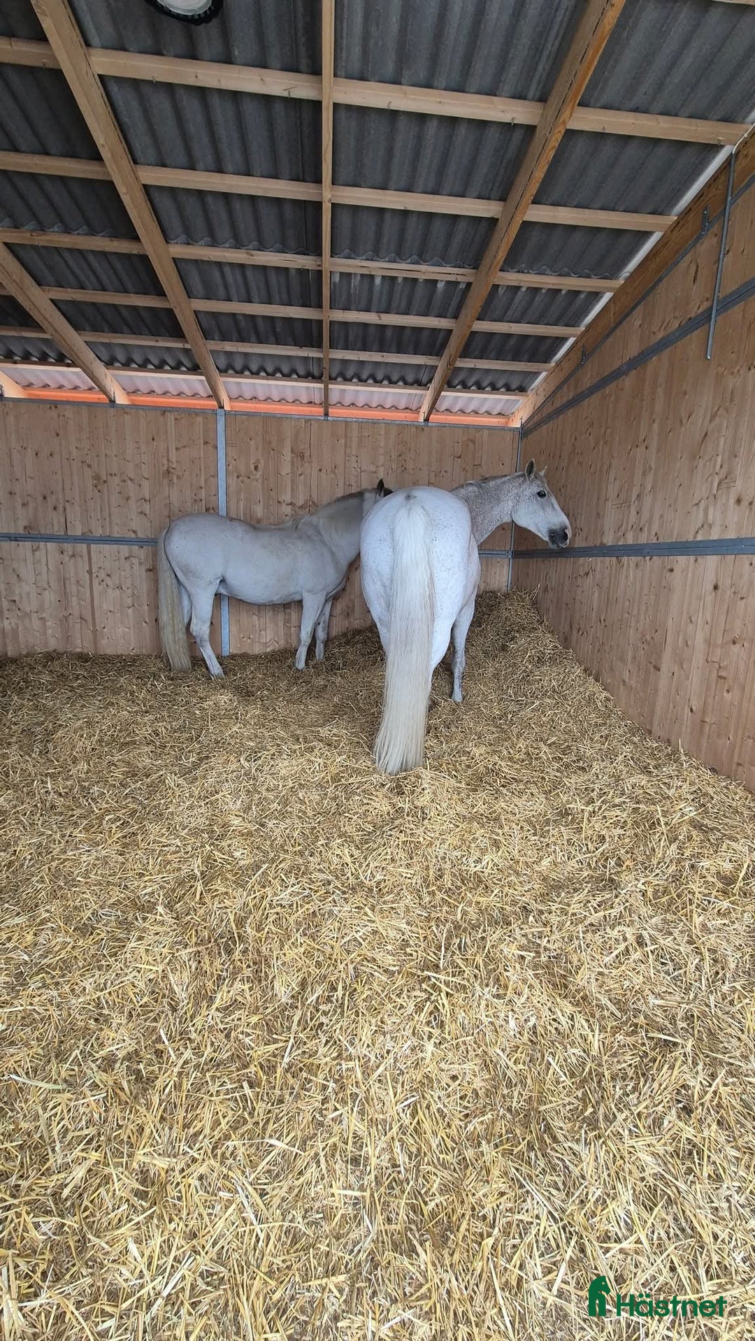  stallplats finnes: Active stable Haninge södra Stockholm  i Österhaninge - Annons 3