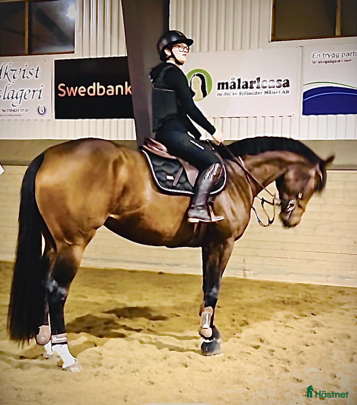  hästar Socialt och trevligt sto med framtiden för sig - Annons 10