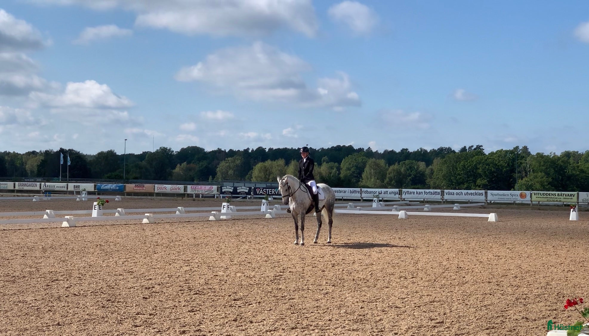  hästar Powerponny med potential - Annons 2