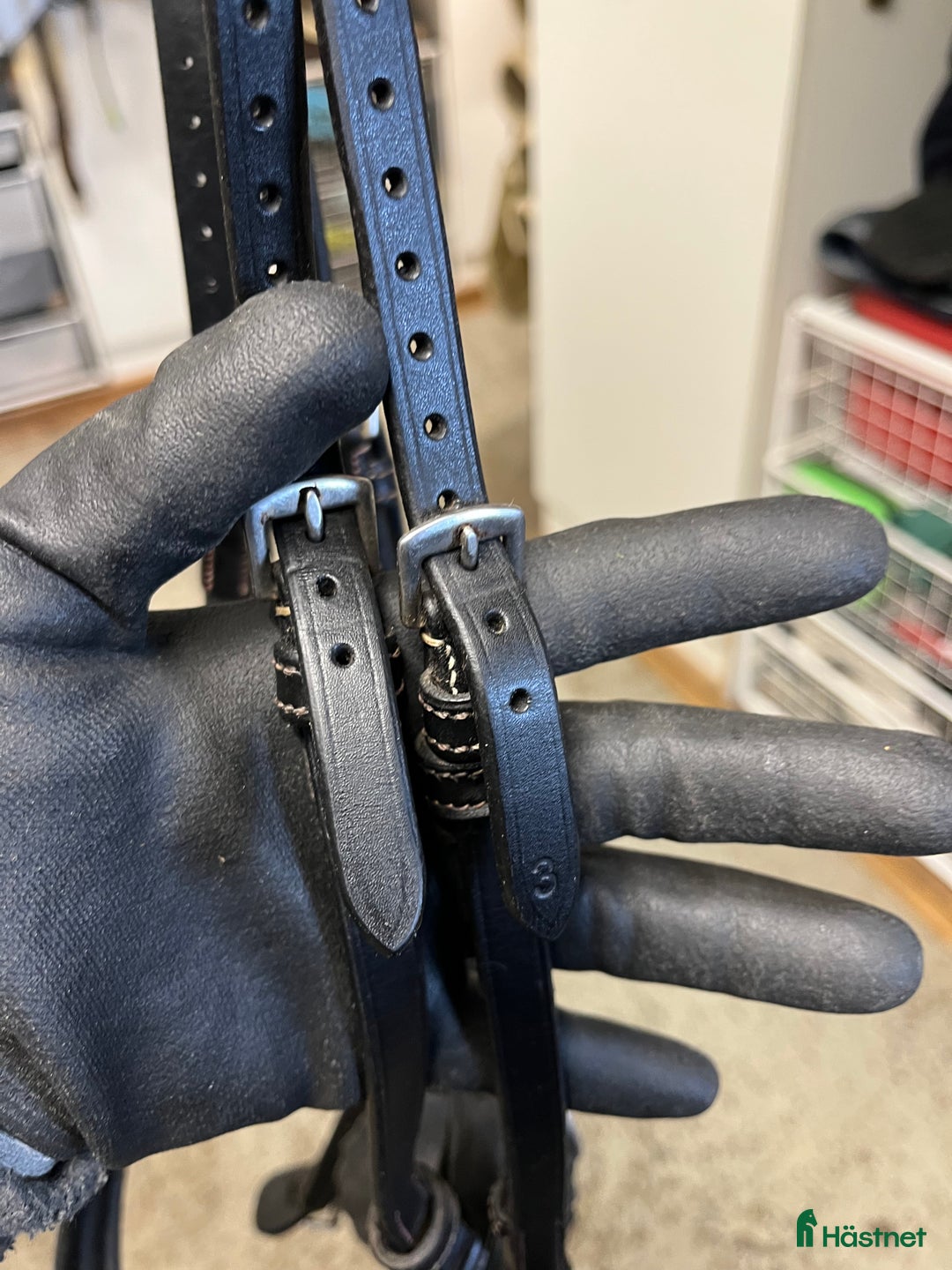 Träns hästutrustning till salu: Ps träns modell Antwerpen  i Växjö - Annons 3