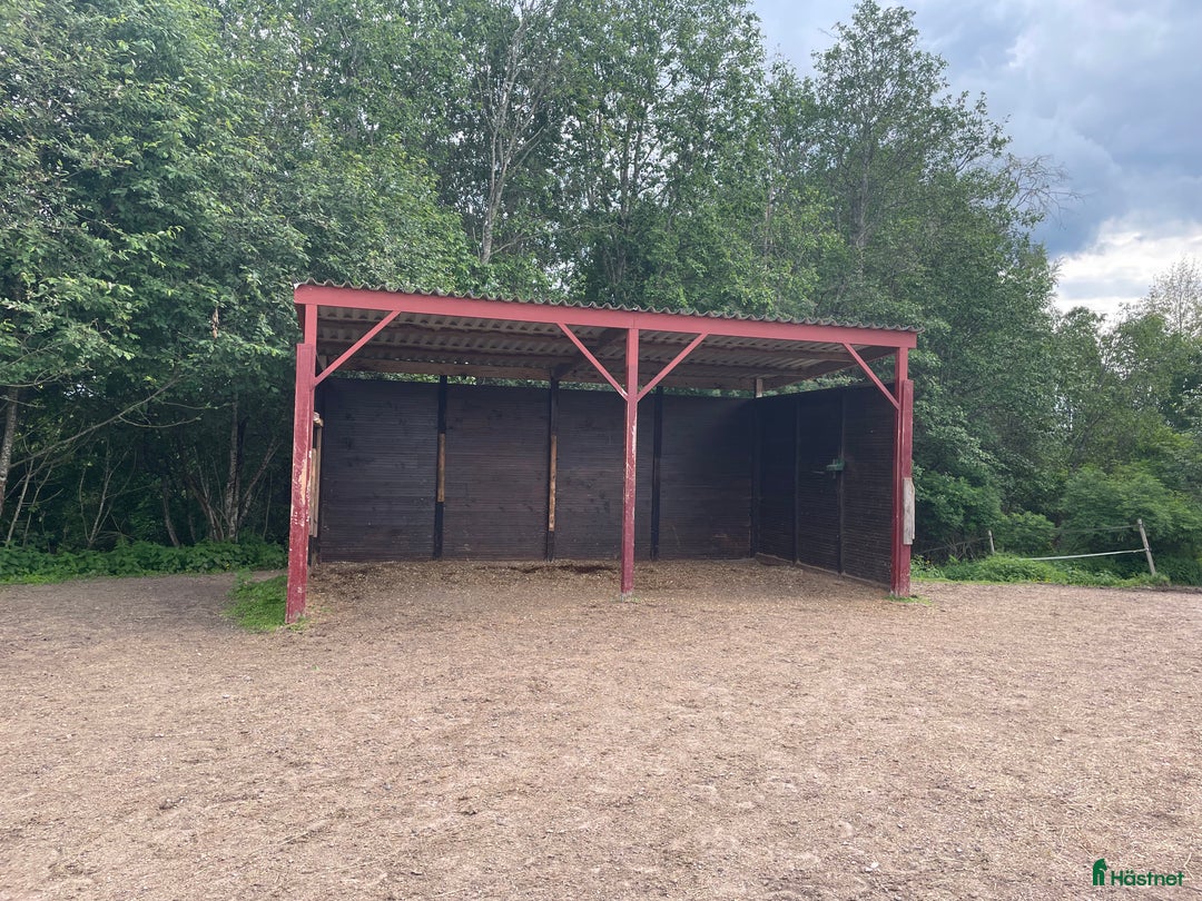  stallplats finnes: Stallplats i Djurmo/Gagnef i Djurmo - Annons 7