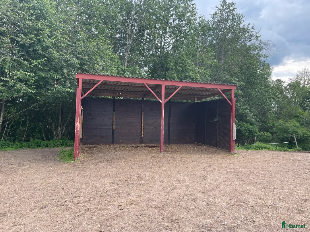  stallplats finnes: Stallplats i Djurmo/Gagnef i Djurmo - Annons 7