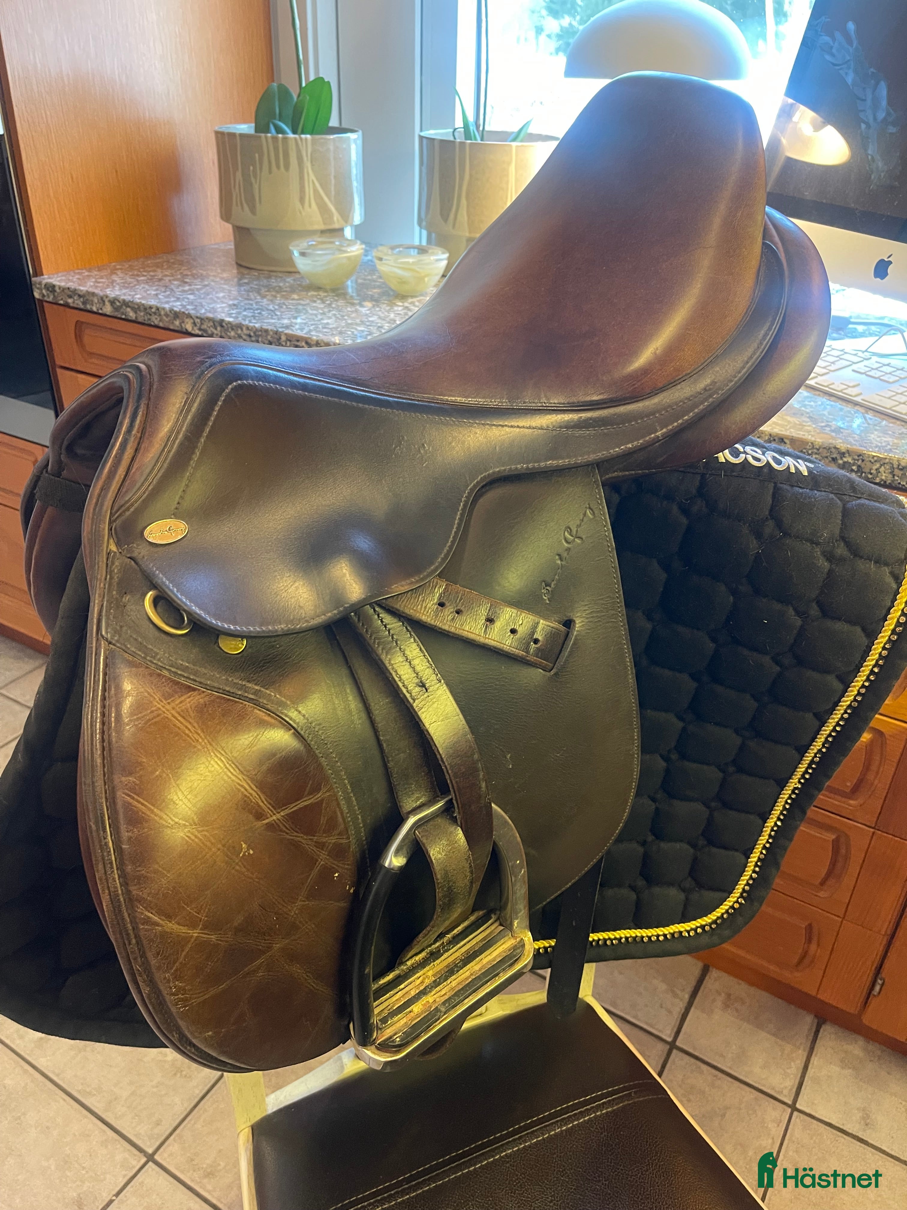 Sadlar hästutrustning Santa Cruz Celine  - Annons 7