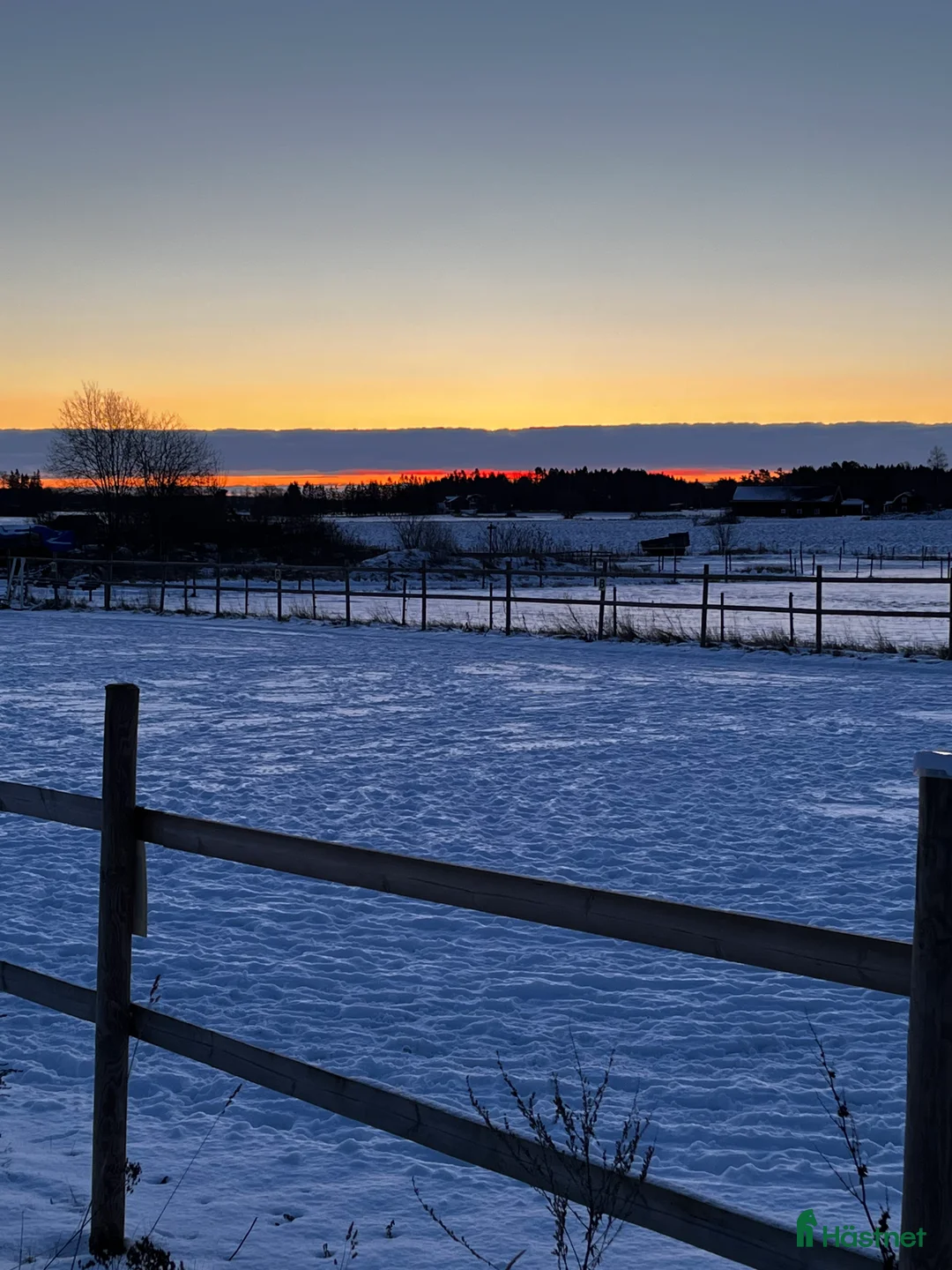  stallplats finnes: Boxplats och lösdrift  i Västerås - Annons 2