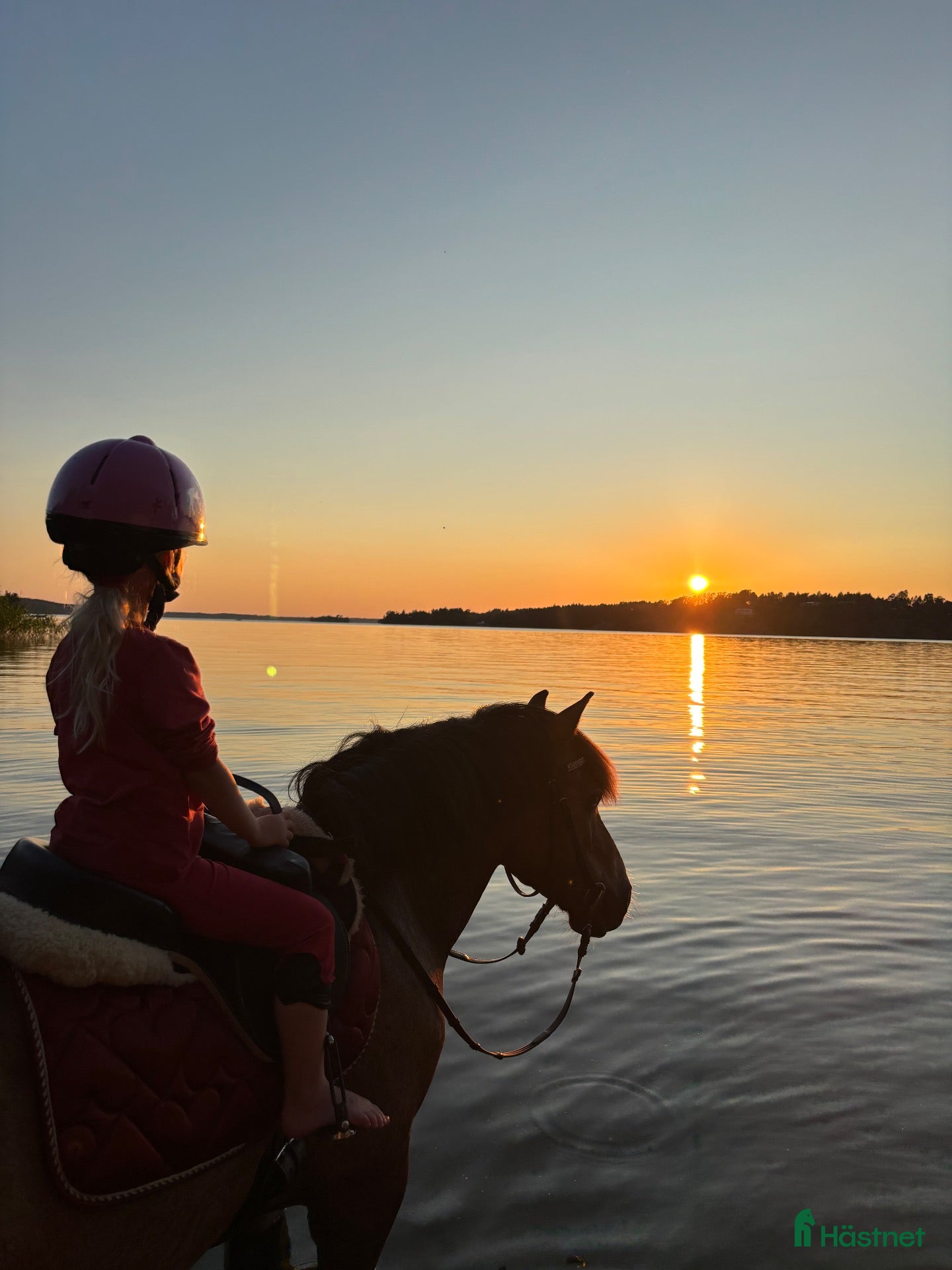  hästar ❤️ Fantastisk barnponny/verksamhets/tävlingsponny - Annons 2