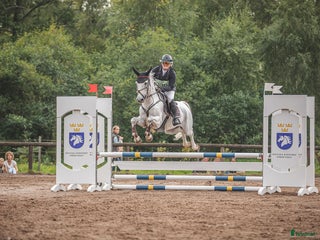 hästar 🌟Oslipad diamant🌟 i Kinnared - Annons 13