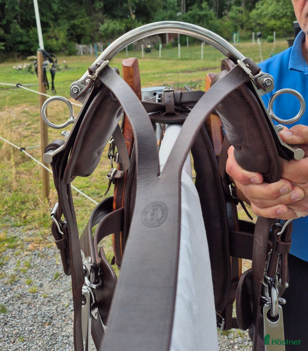 Körselar körning till salu: Exklusiv loksele i nyskick till shettis i Fågelmara - Bild 3