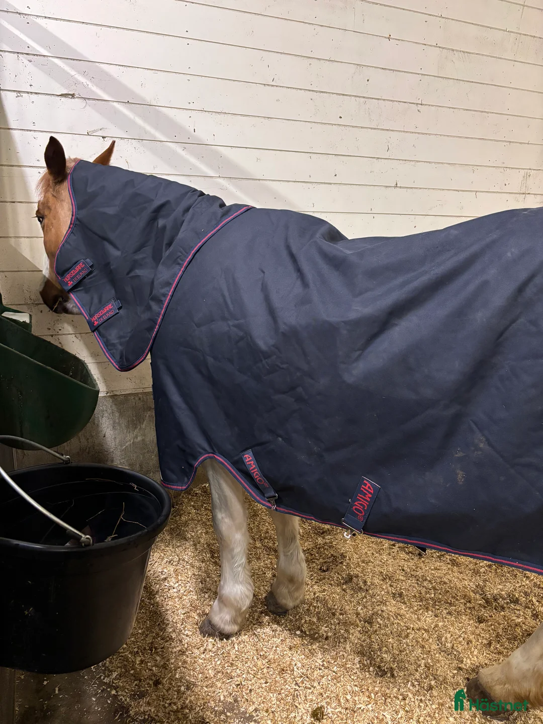 Täcken hästutrustning till salu: Horseware Amigo C-ponny i Oxelösund - Annons 3