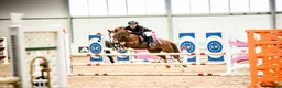 Hoppning hästar till salu: Champion pony i Stockholm - Annons 1