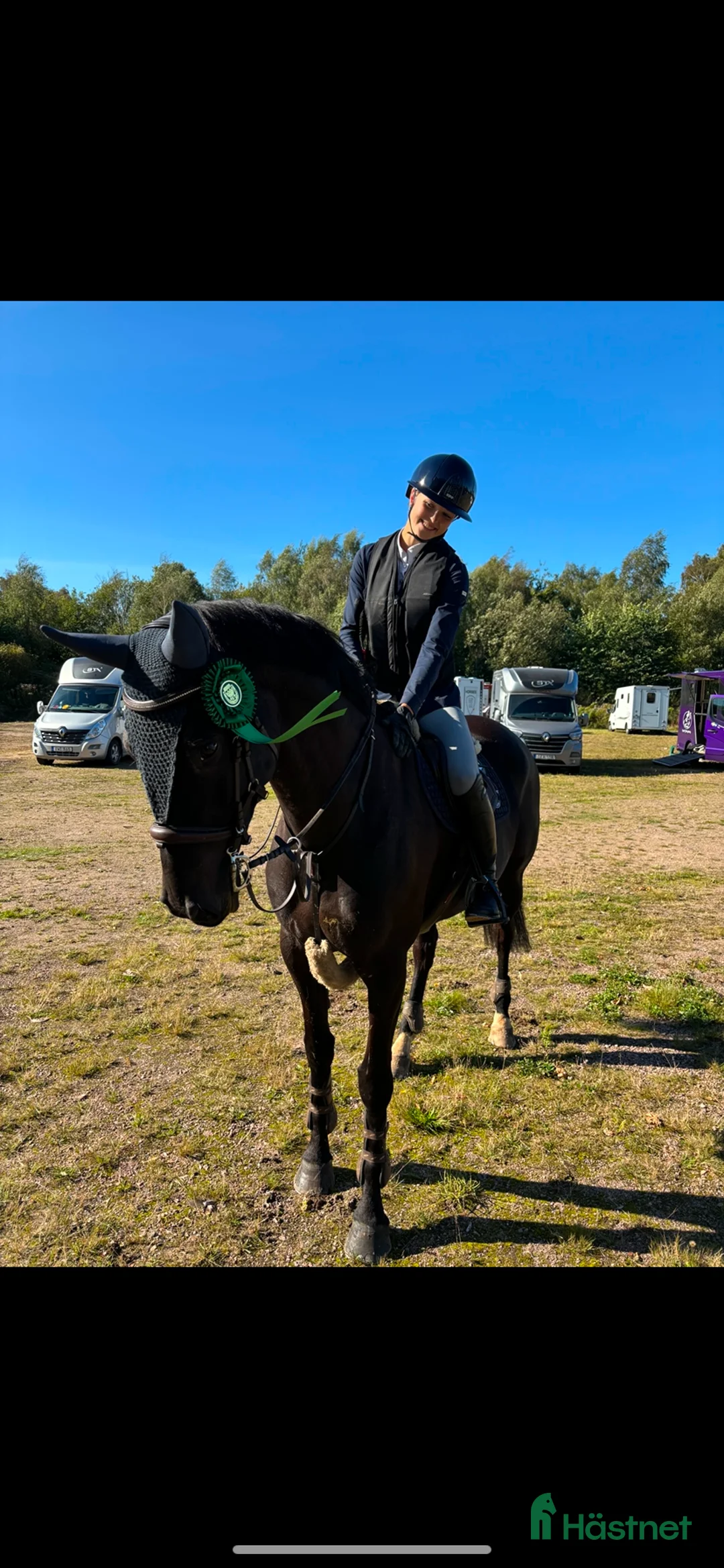 Allround hästar till salu: 🌟Projekthäst🌟 - Annons 2