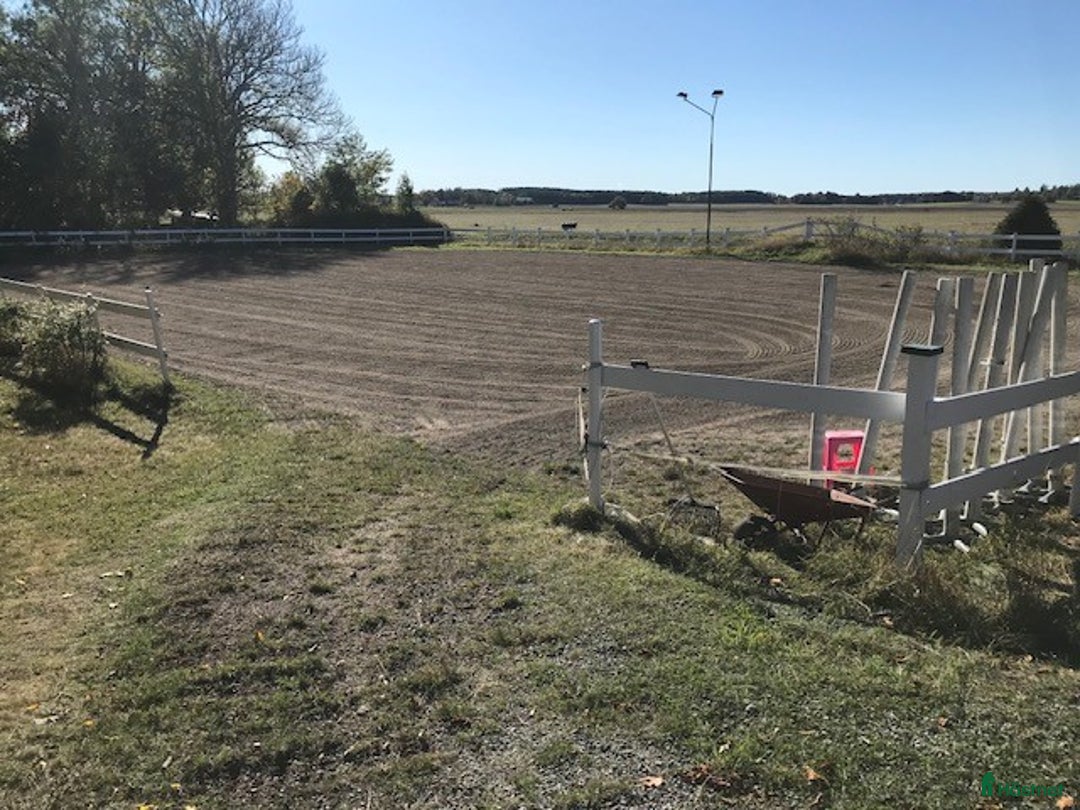  stallplats finnes: Lösdrift för sto, 6km från Enköping i Enköping - Bild 5