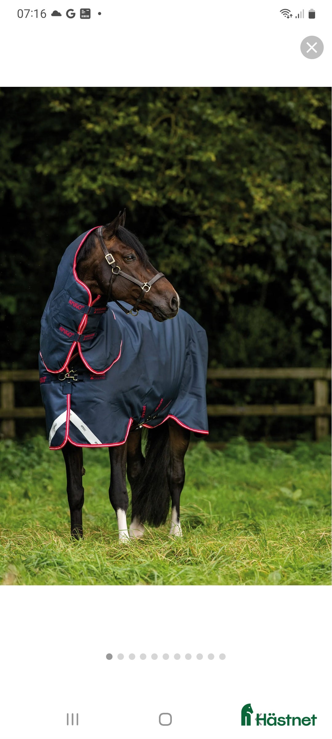 Täcken hästutrustning till salu: Horseware amigo bravo 12 i Umeå - Annons 1