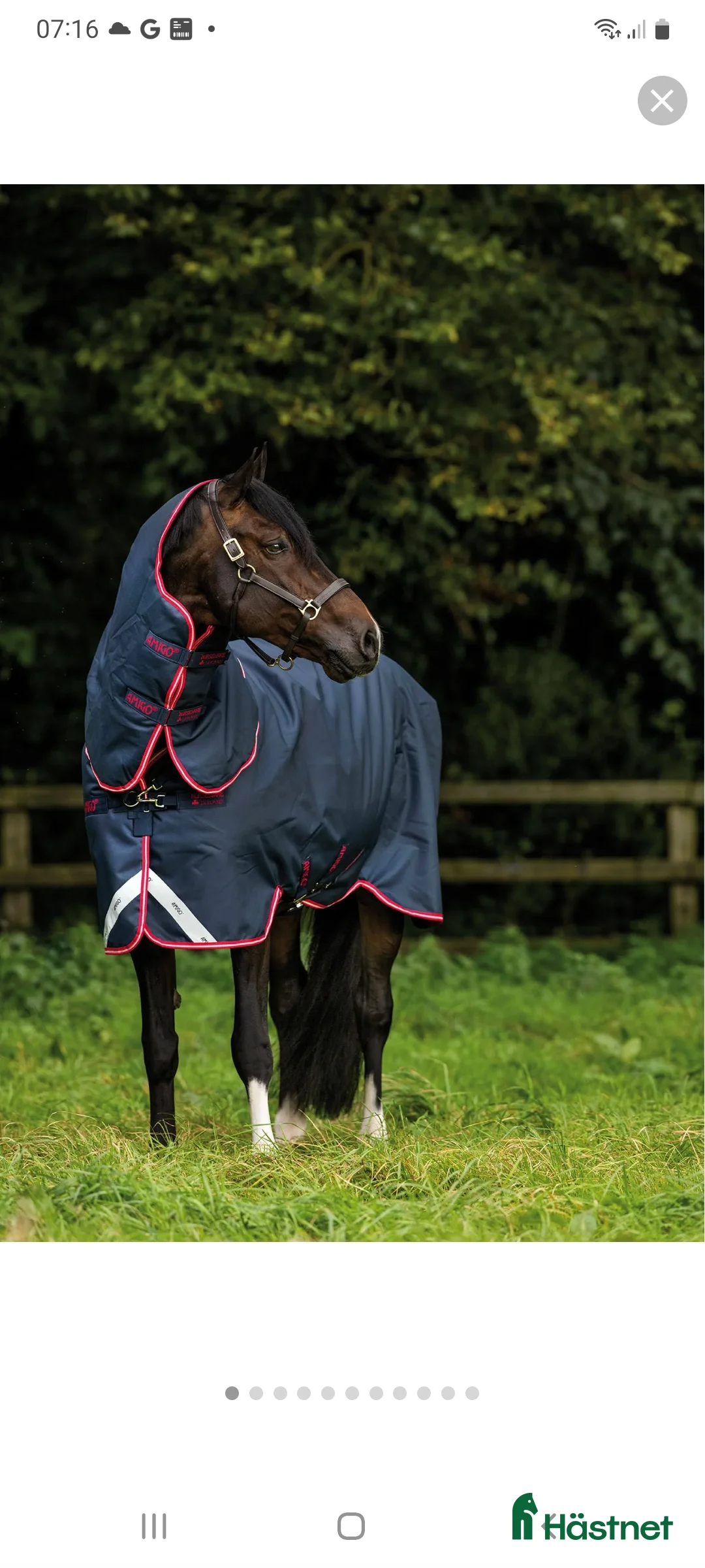 Täcken hästutrustning till salu: Horseware amigo bravo 12 i Umeå - Annons 1