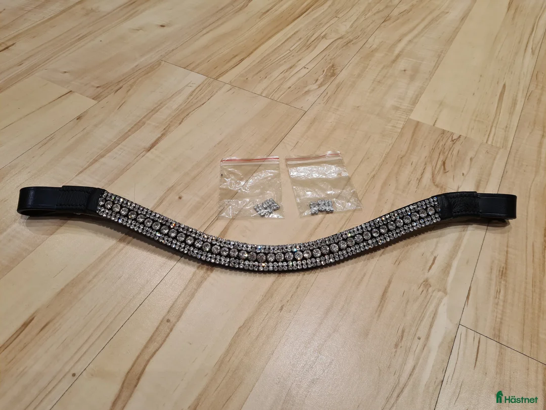 Övrig Hästutrustning hästutrustning till salu: Glittrigt pannband Cob - Annons 1