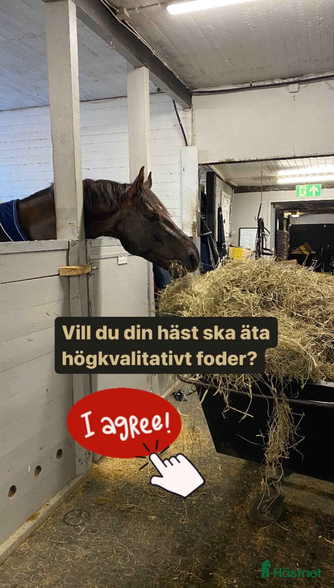  stallplats finnes: Uppstallning Norra Sthlm i Rosersberg - Bild 4