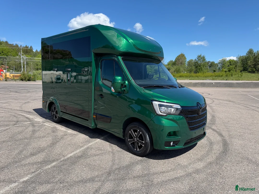 Hästlastbilar  fordon & transport till salu: Nybyggd Renault Master 2020 - Annons 1
