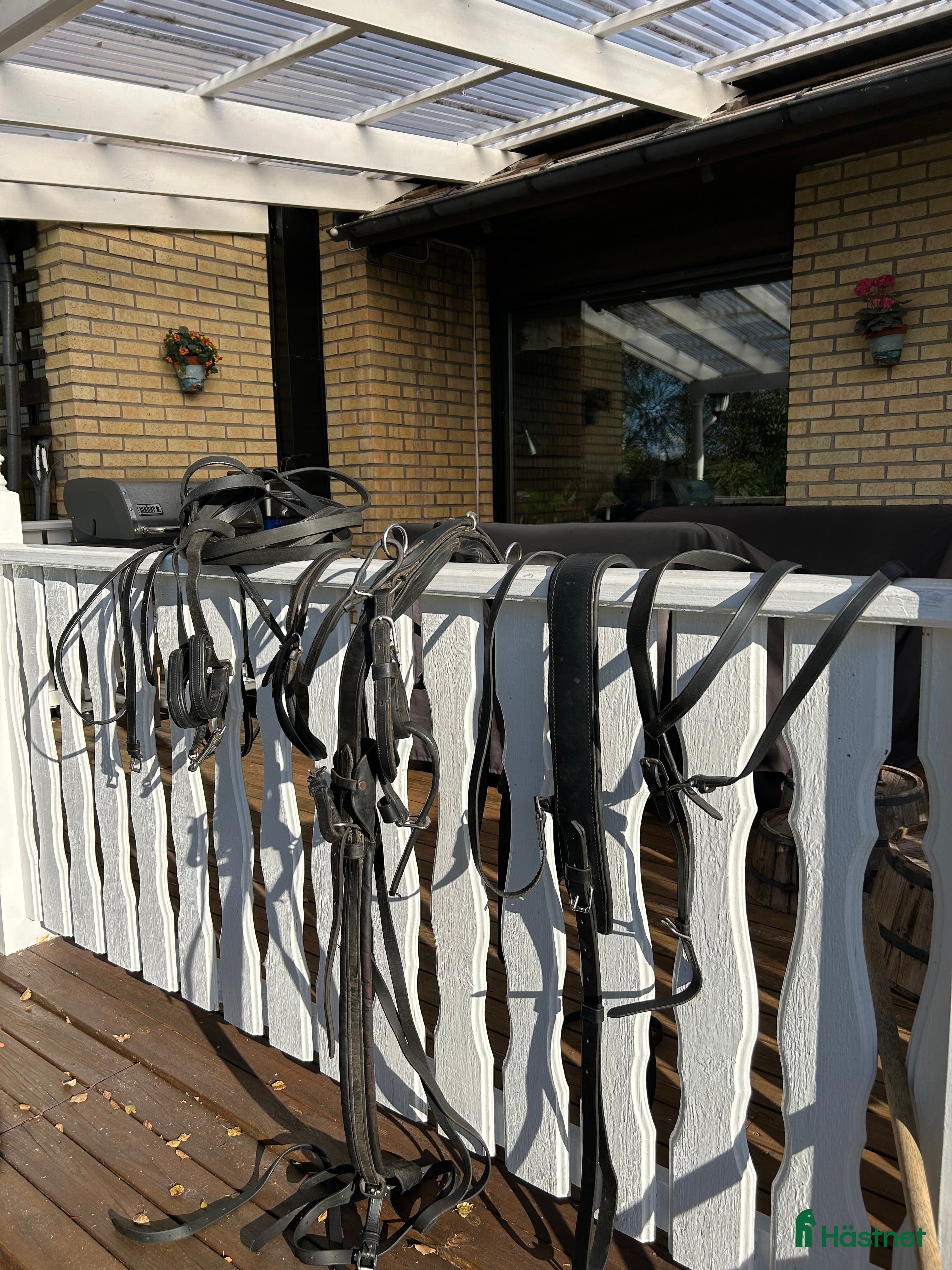 Körselar körning till salu: Komplett travsele i Karlstad - Annons 9