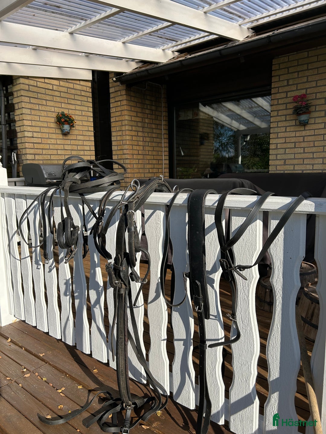 Körselar körning till salu: Komplett travsele i Karlstad - Annons 1