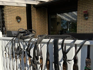 Körselar körning till salu: Komplett travsele i Karlstad - Annons 12
