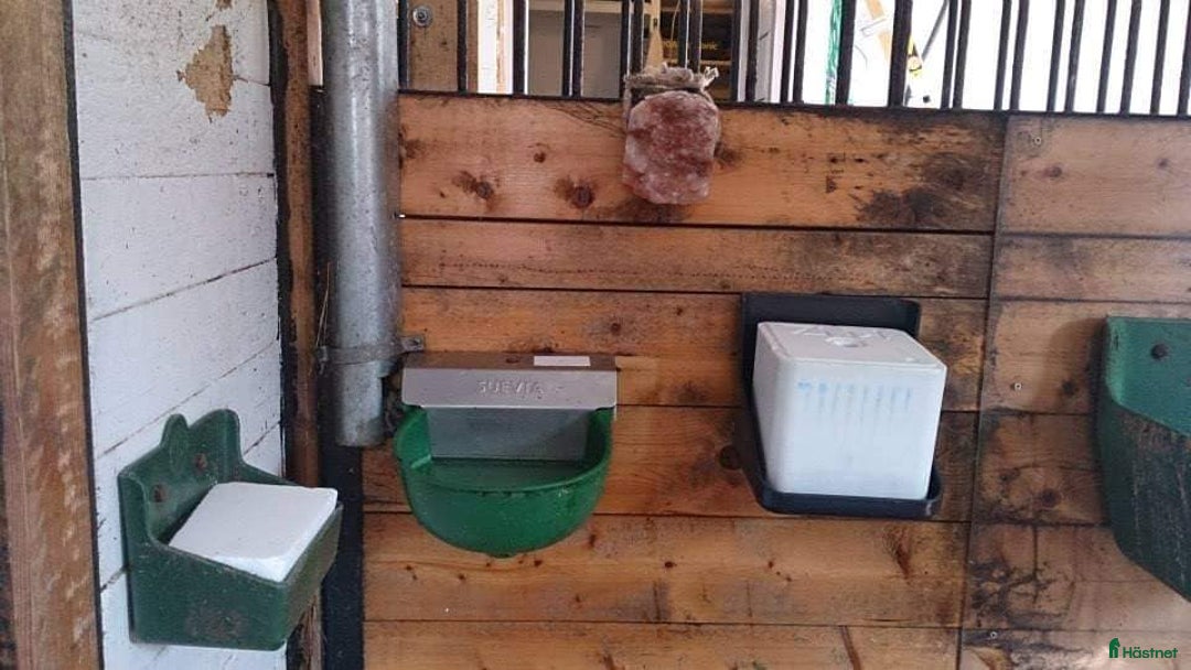  stallplats finnes: Stallplats Box ledig, Ekerö kommun i Skå - Annons 10