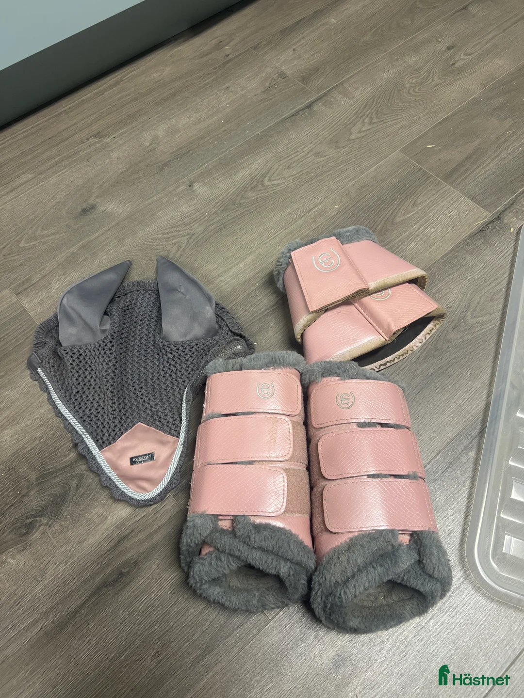 Benskydd hästutrustning till salu: Fint skick! i Henån - Annons 1