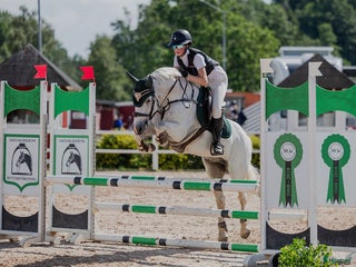 Hoppning hästar till salu: Pigg och framåt D-ponny i Forsheda - Annons 3