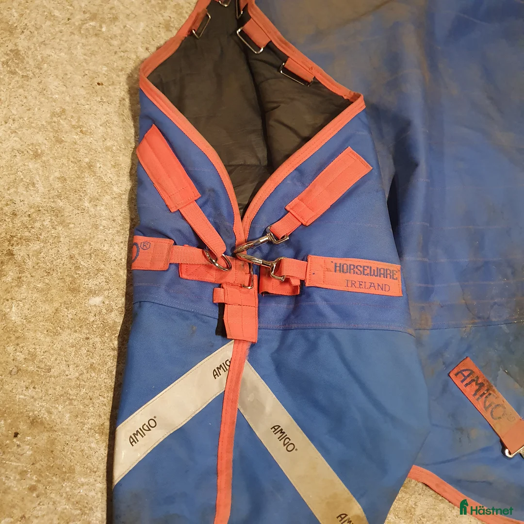 Täcken hästutrustning till salu: Amigo Bravo 12 plus 250g strl 6.3/140 - Annons 3