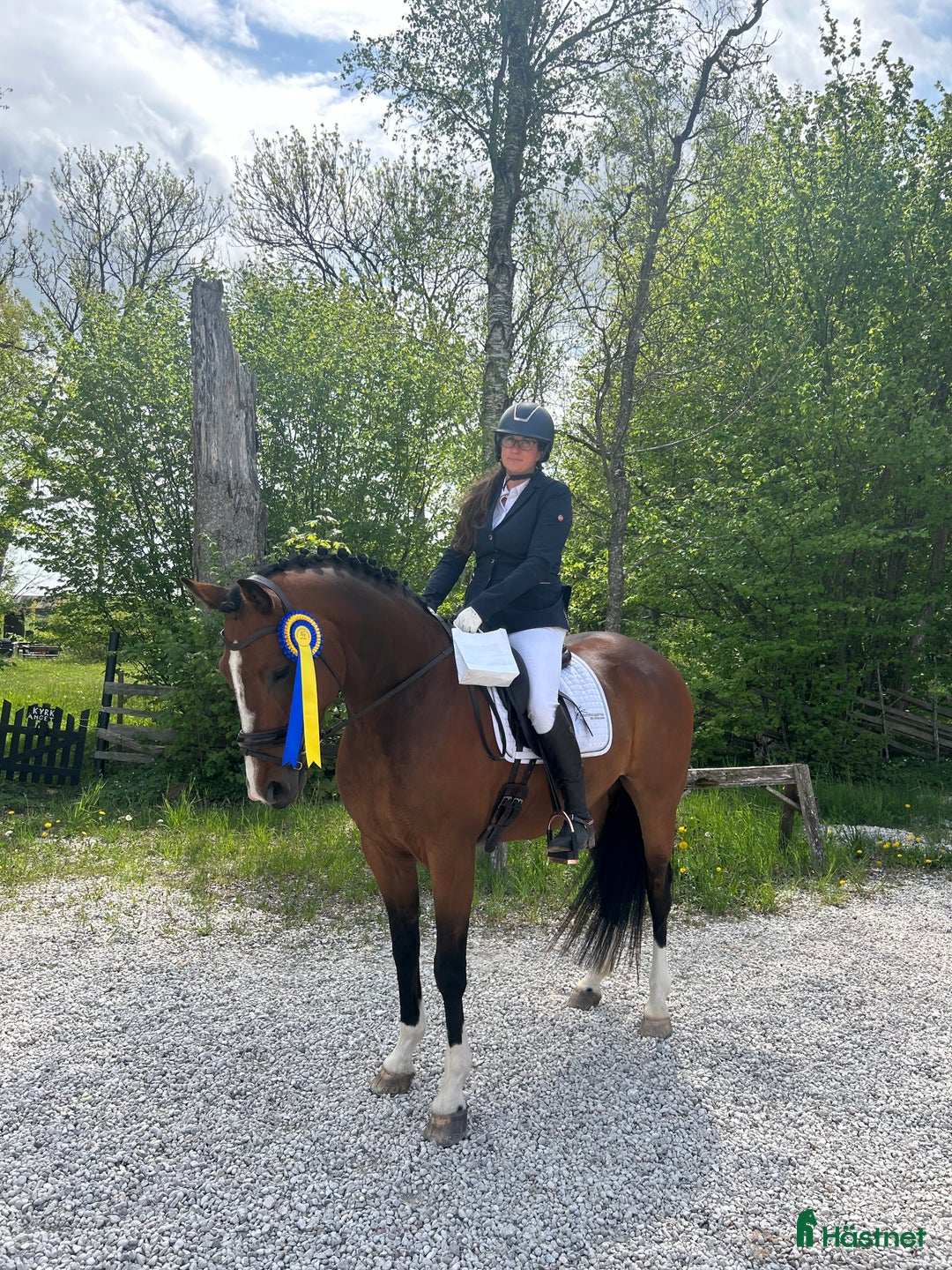 Dressyr hästar till salu: Fantastisk dressyrvalack  i Lärbro - Annons 2