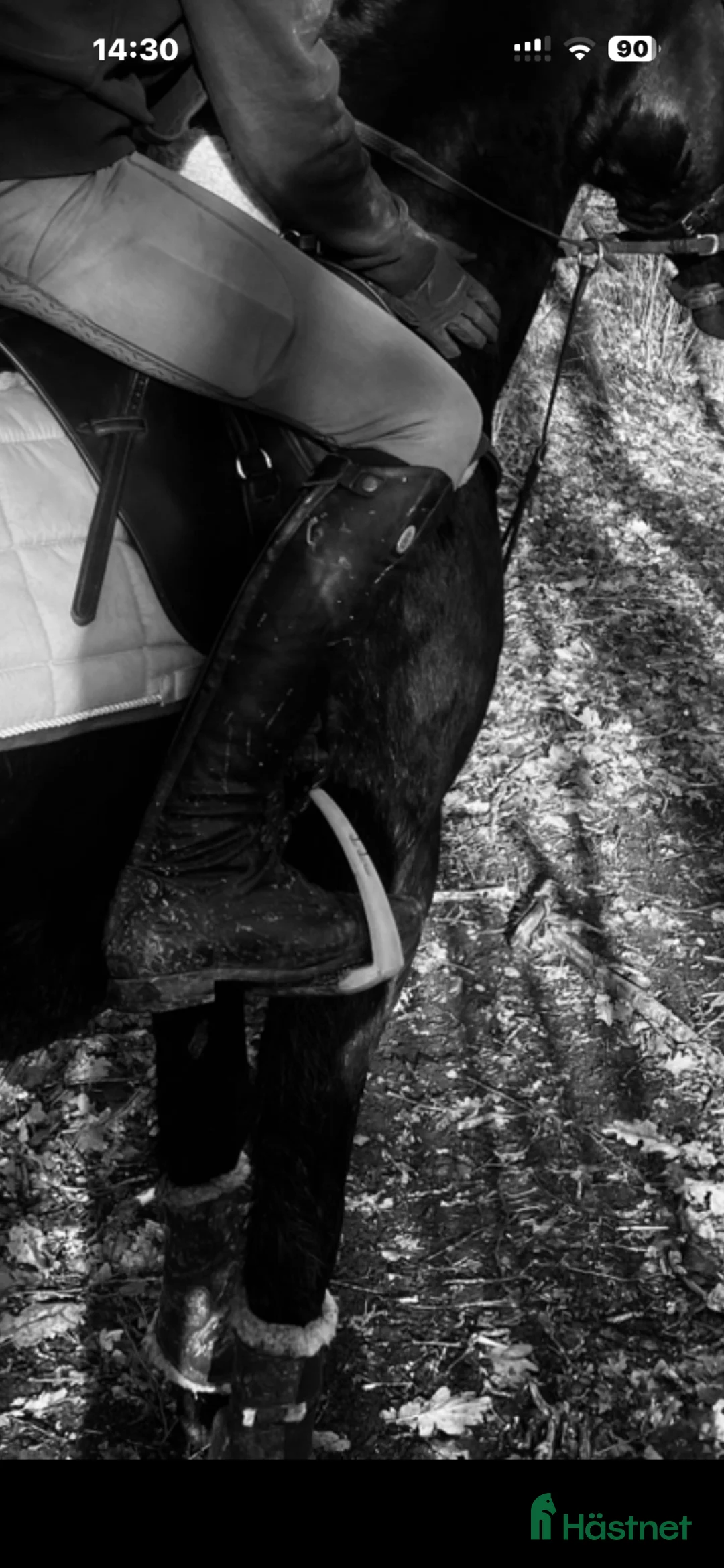 Ridstövlar ryttarutrustning till salu: snygga ridstövlar - Annons 2