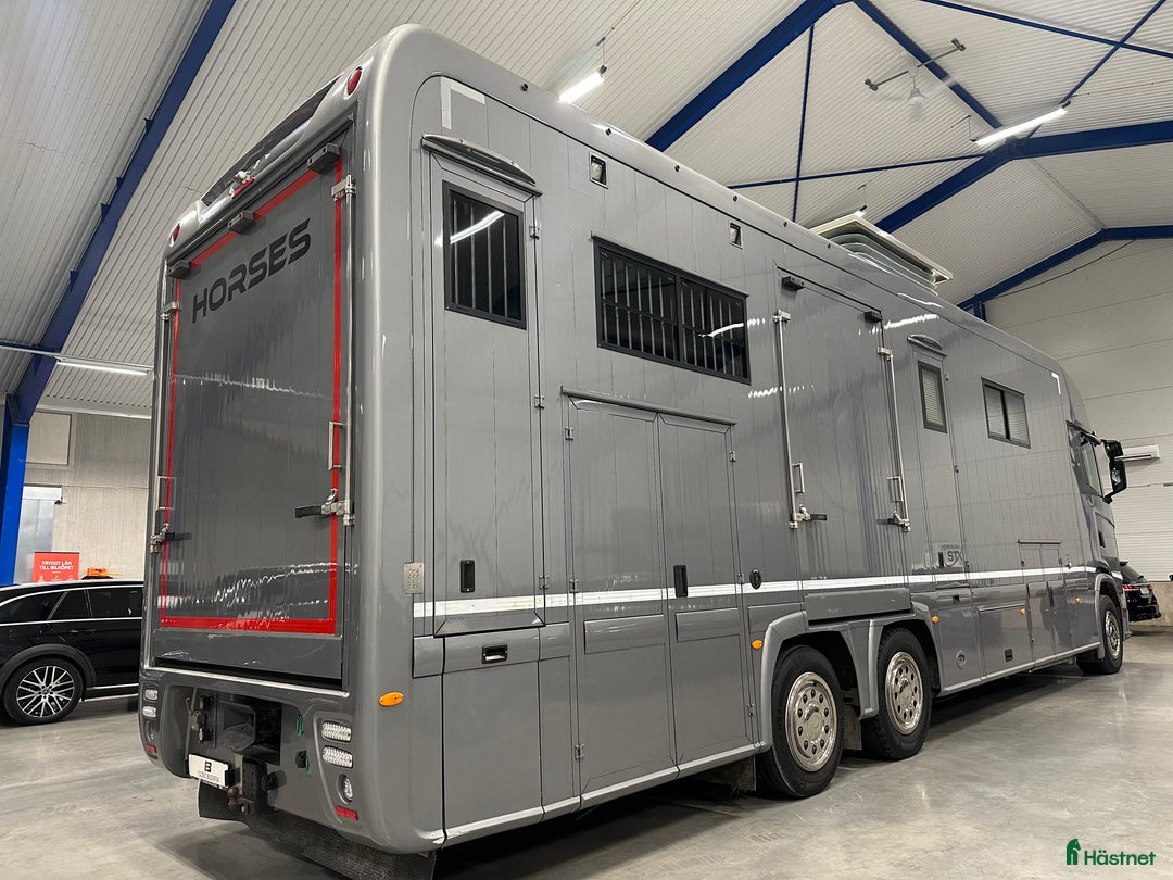 Hästlastbilar  fordon & transport till salu: Scania Stephex STX S500 Hästlastbil / Pop-X2 / i Eslöv - Annons 4