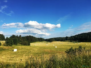 hästgårdar till salu: Anrik djurgård i Östergötland uthyres i Finspång - Annons 5