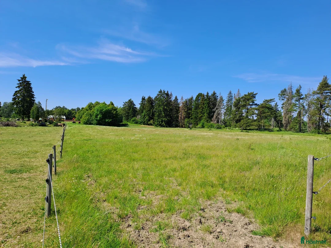  stallplats finnes: Kollektiv eller Service Adolfsbergs stallet i Bro - Annons 16