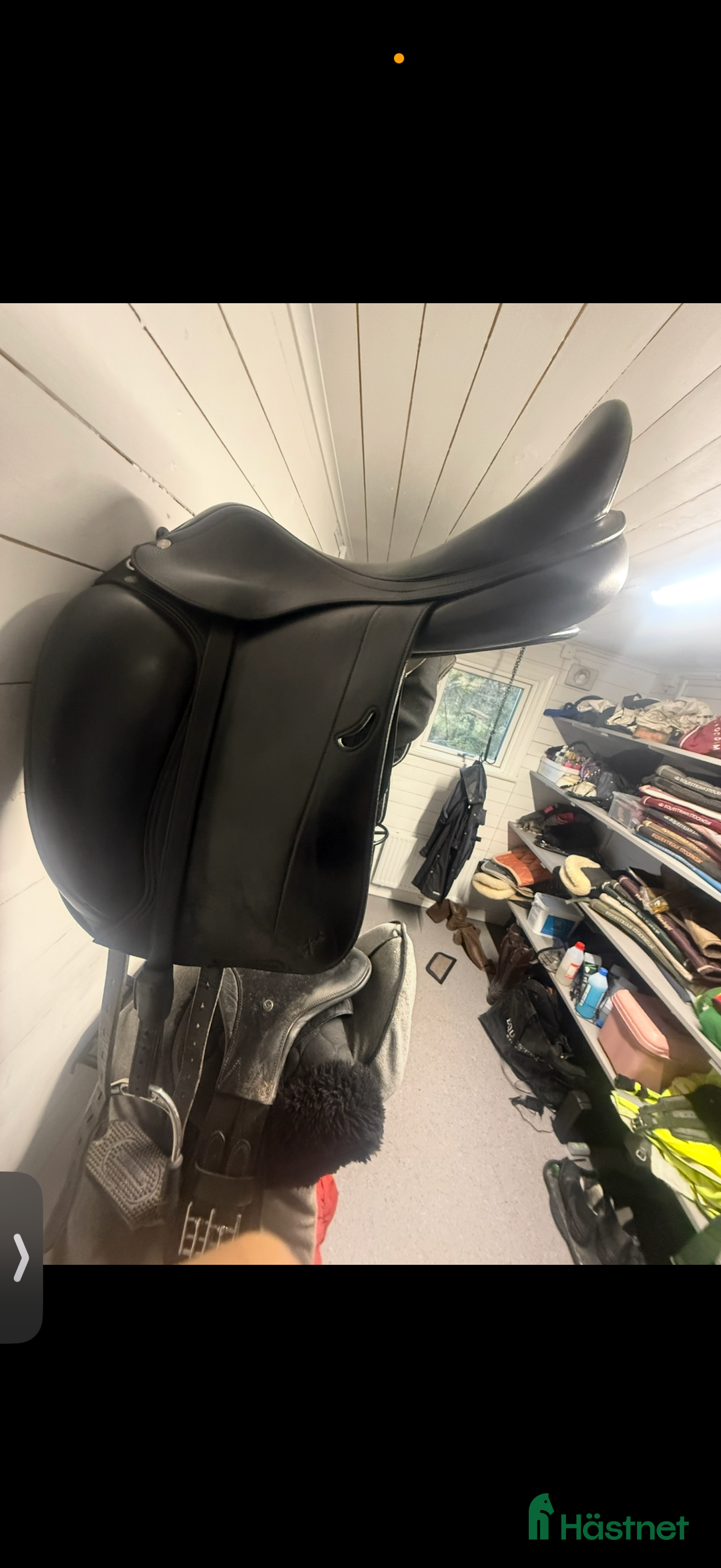 Sadlar hästutrustning till salu: Equipe Emporio special i Kil - Annons 7