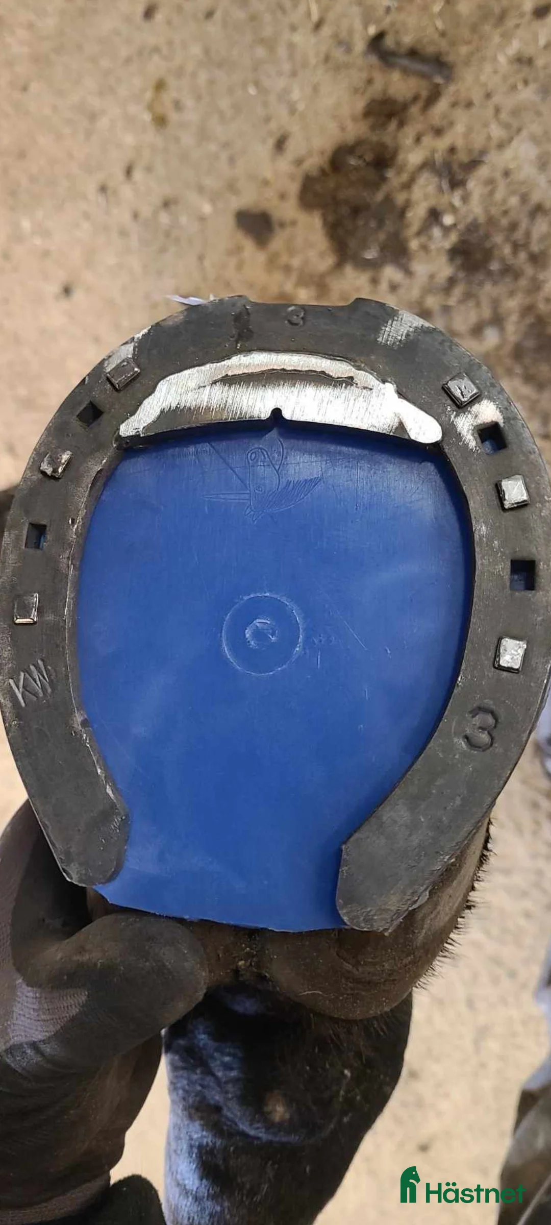  hästservice finnes: Hovslagare  i Örebro - Annons 4