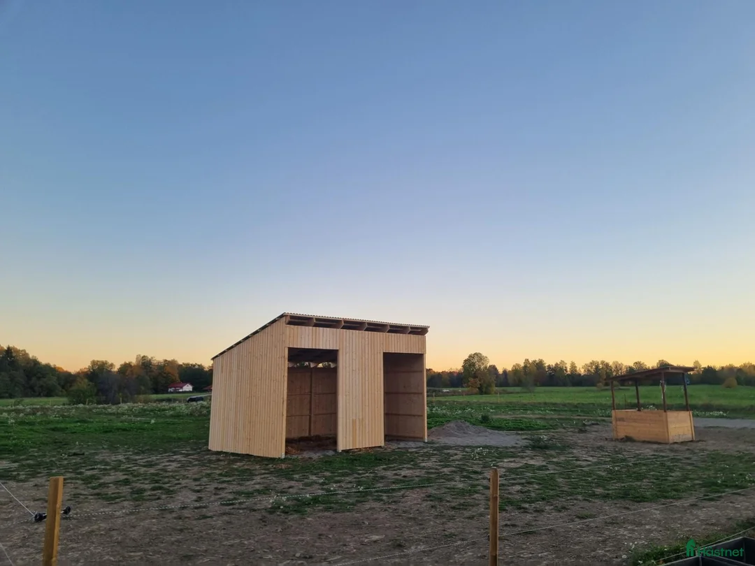  stallplats finnes: Lösdriftsplats finnes - Annons 1