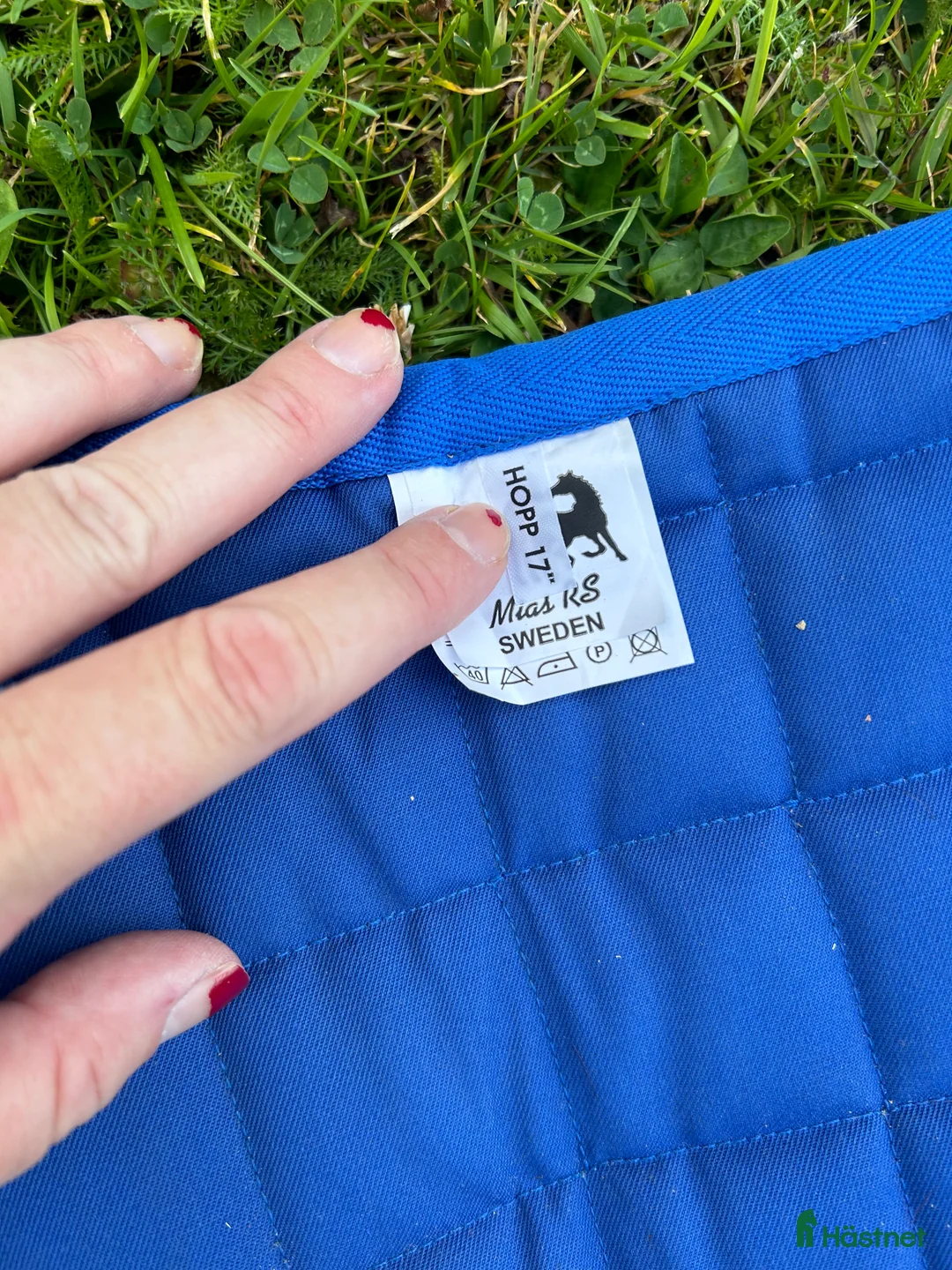 Schabrak & Vojlockar hästutrustning till salu: Mias schabrak hopp - Annons 2