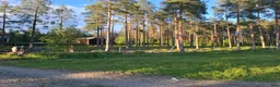  stallplats finnes: Lösdriftsplatser finns i Skellefteå  - Annons 9