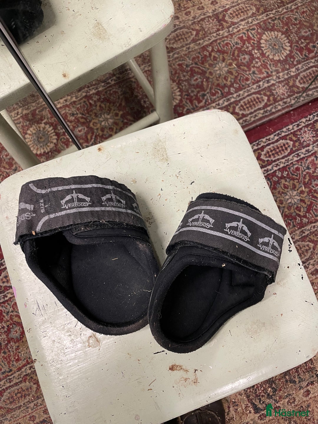 Benskydd hästutrustning till salu: Veredus bakskydd  - Annons 2