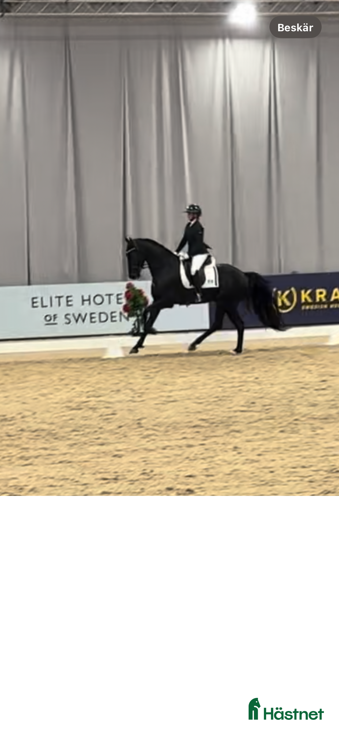  hästjobb finnes: Dressyrträning i Stockholm i Stockholm - Annons 2