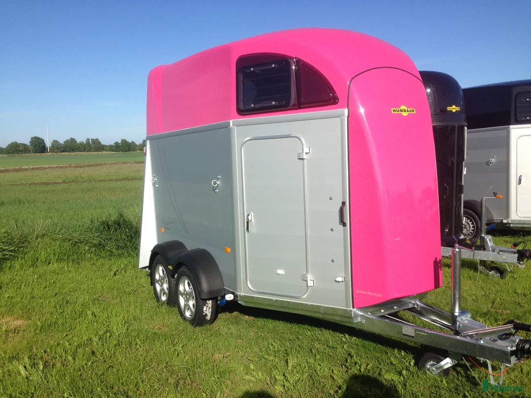 Hästtransporter  fordon & transport till salu: Humbaur Xanthos Aero Rosa DEMO - Annons 1