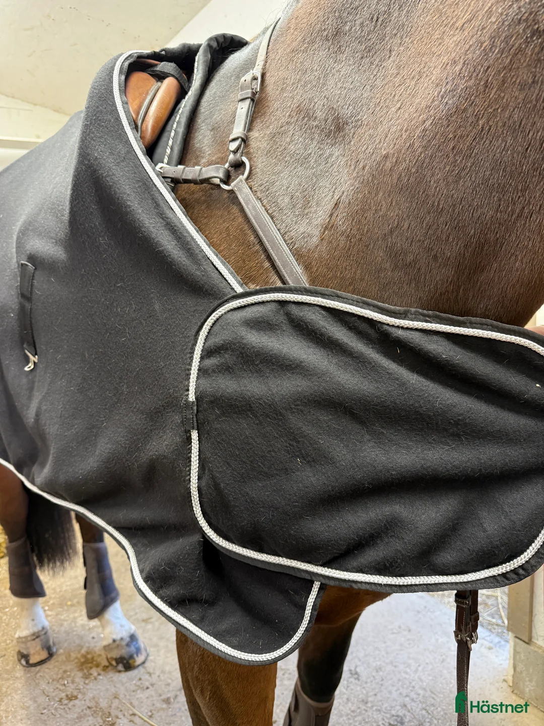 Täcken hästutrustning till salu: Fint Alfab täcke till salu  - Annons 3