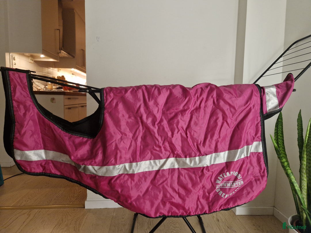 Täcken hästutrustning till salu: Ländtäcke och Flugtäcke  i Johanneshov - Annons 4