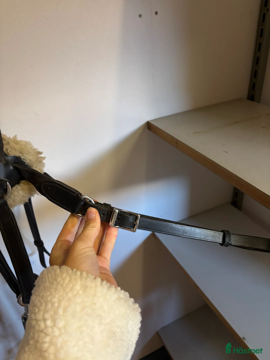 Övrig Hästutrustning hästutrustning till salu: Fin förbygel🌟 i Lunde - Annons 6